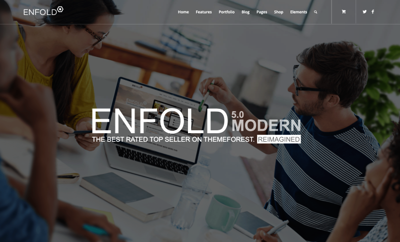 Wordpress Theme - Enfold