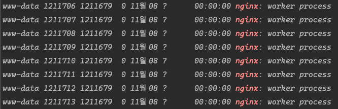 ps -ef | grep nginx 결과