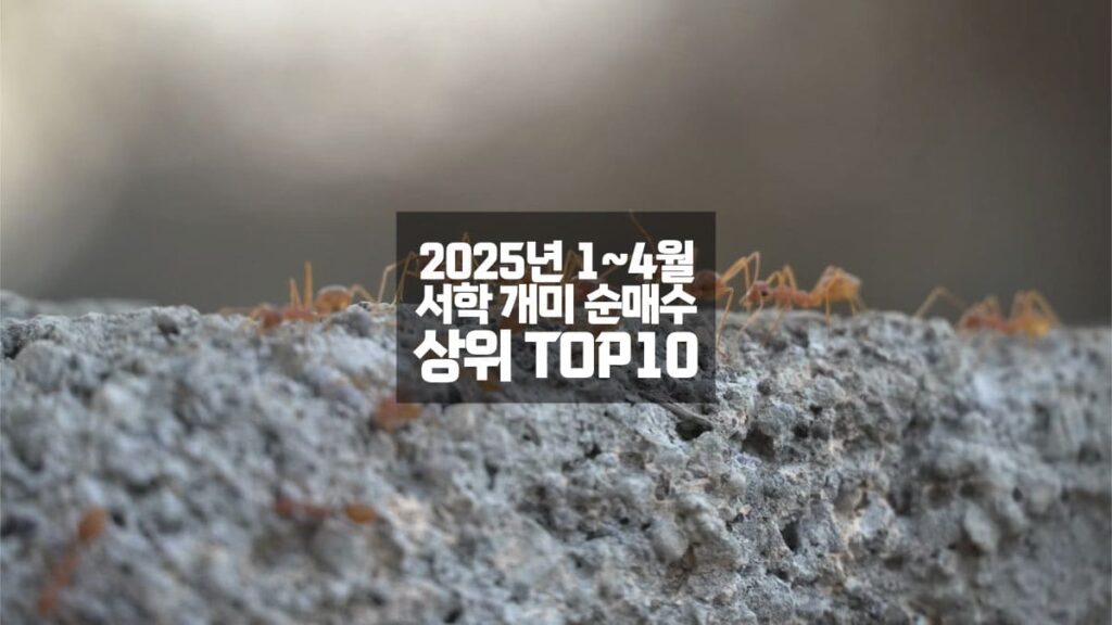 서학 개미 순매수 TOP 10