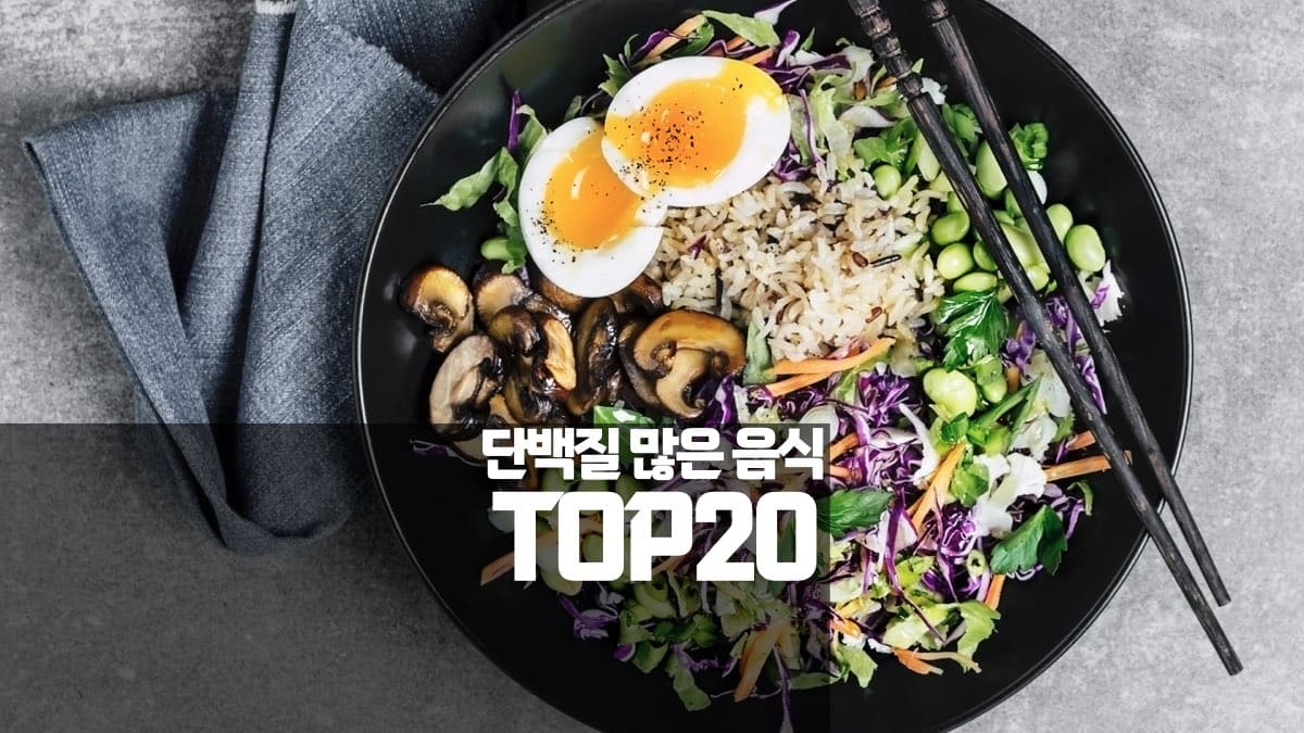 단백질 많은 음식 TOP20