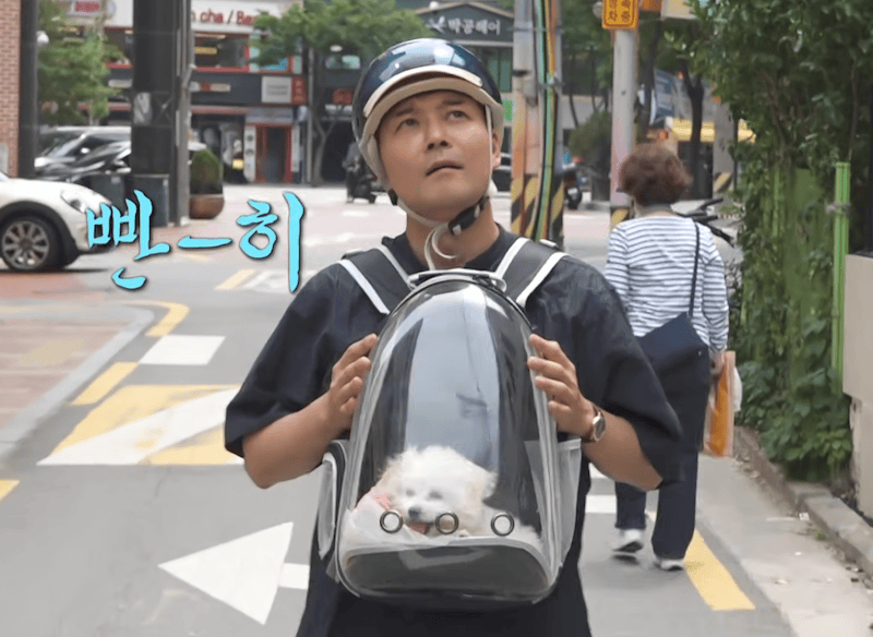 딩동펫 반려동물 프런트 투명 백팩